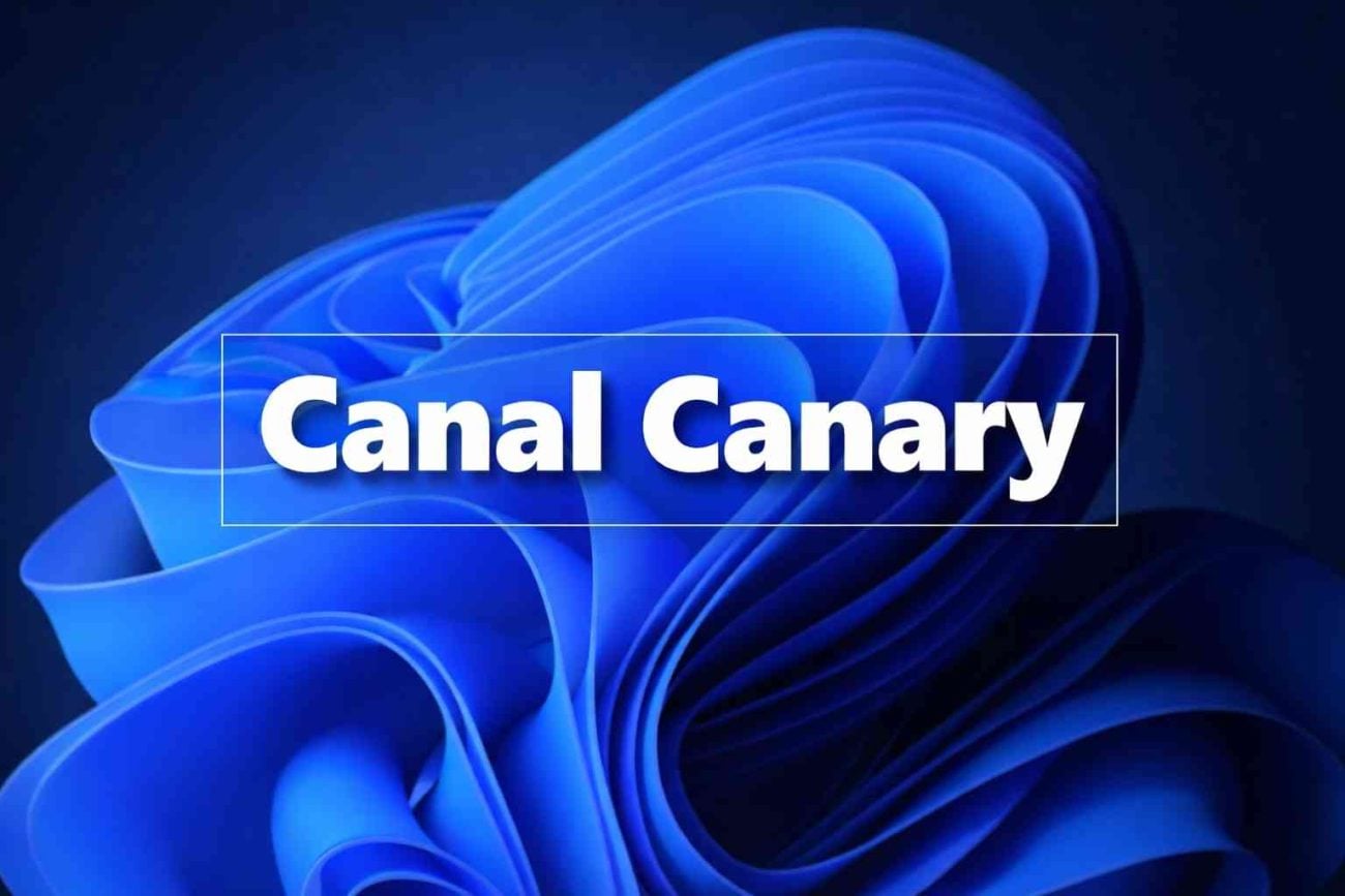 Windows 11 KB5074176 Canal Canary