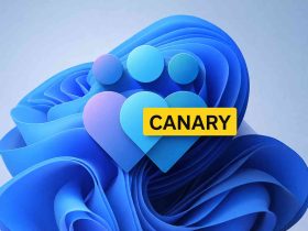 Windows 11 KB5074176 Canal Canary