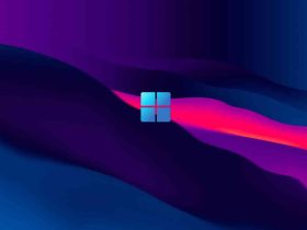 Windows 11 KB5077221