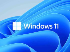 Windows 11 KB5077223