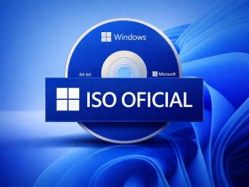 Windows 11 Validation OS