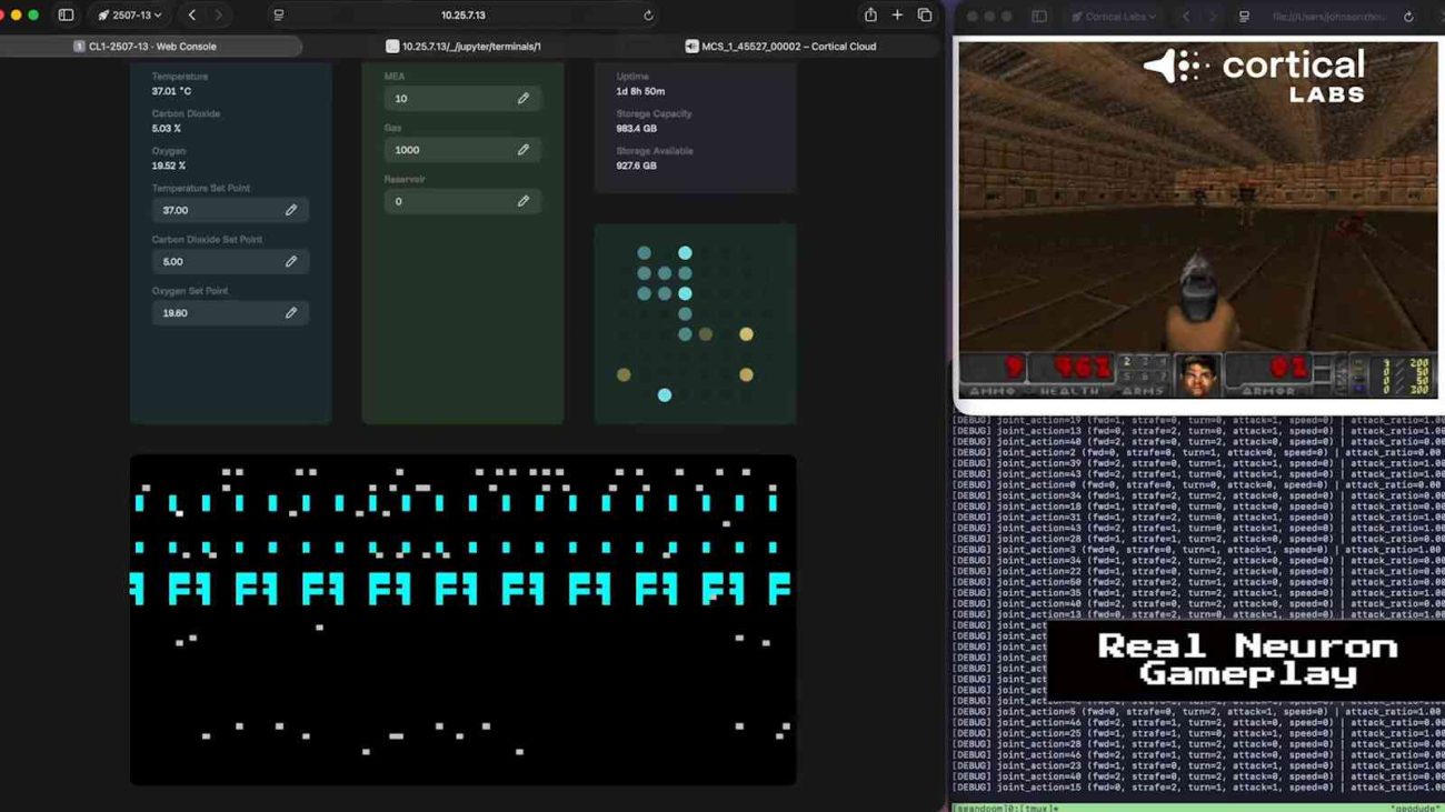 CL1 con neuronas humanas