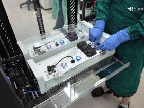 CL1 con neuronas humanas