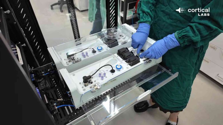 CL1 con neuronas humanas