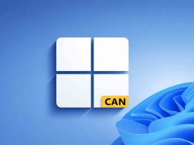 Canal Canary de Windows 11