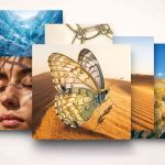 MAI-Image-2 de Microsoft