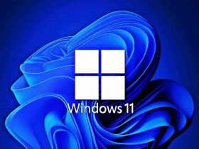 Microsoft optimiza Windows 11 en el Canal Dev, Beta y Canary