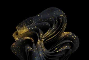 Windows 11: Proyecto 20/20