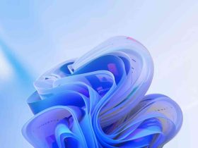 Windows 11 25H2 Canal Dev y Beta