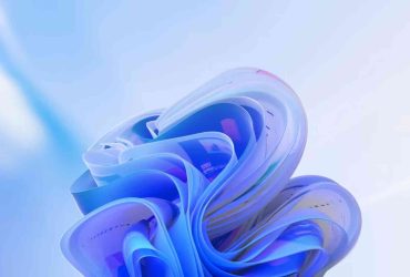 Windows 11 25H2 Canal Dev y Beta