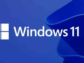 Windows 11 KB5079482 y KB5079483