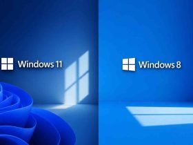 Adiós al viejo spinner de puntos en Windows 11