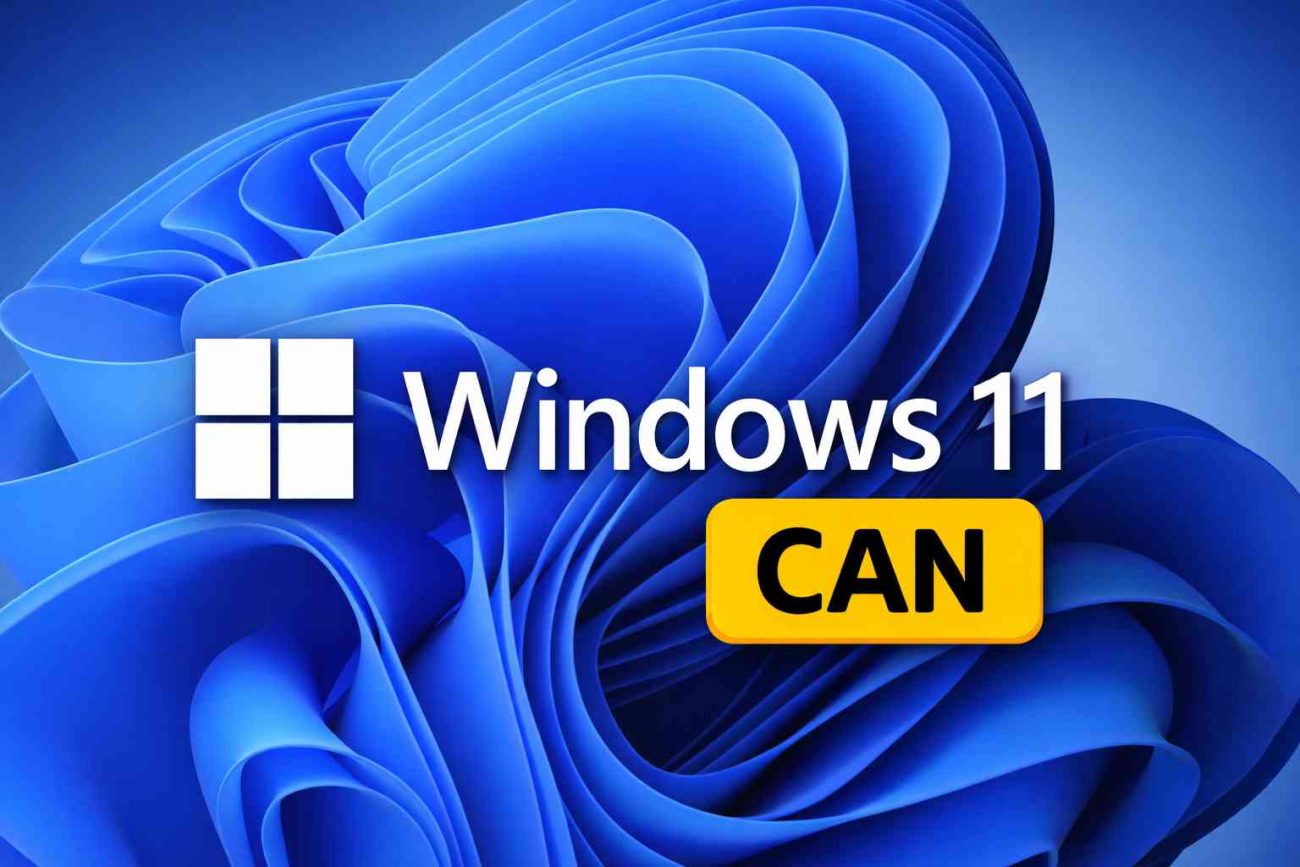 Canal Canary de Windows 11