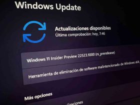 Omitir actualizaciones en Windows 11