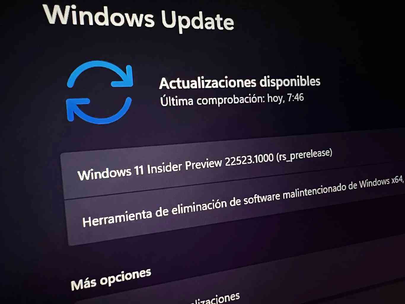 Omitir actualizaciones en Windows 11