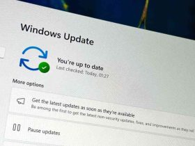 Pausar actualizaciones en Windows Update