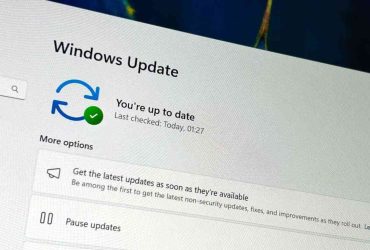 Pausar actualizaciones en Windows Update