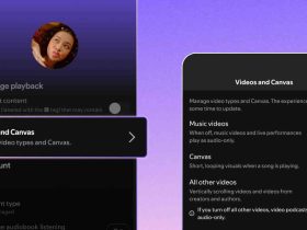 Controles para desactivar video en Spotify