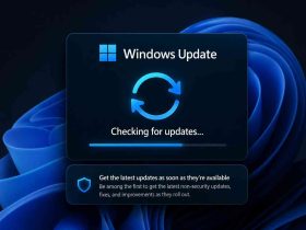 Microsoft confirma fallo en Windows Update