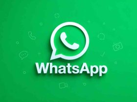 WhatsApp IA