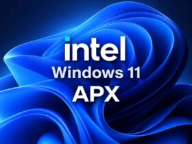 APX en Windows 11